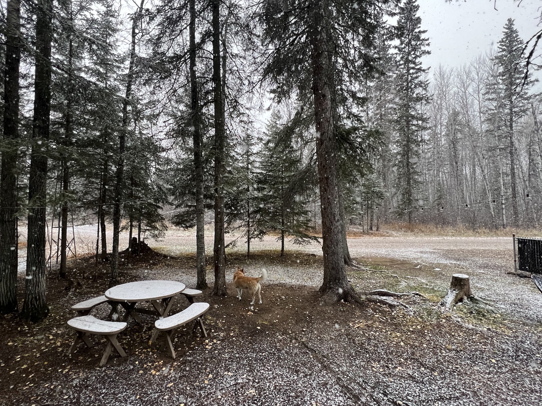 Murray Point, Emma Lake, Saskatchewan