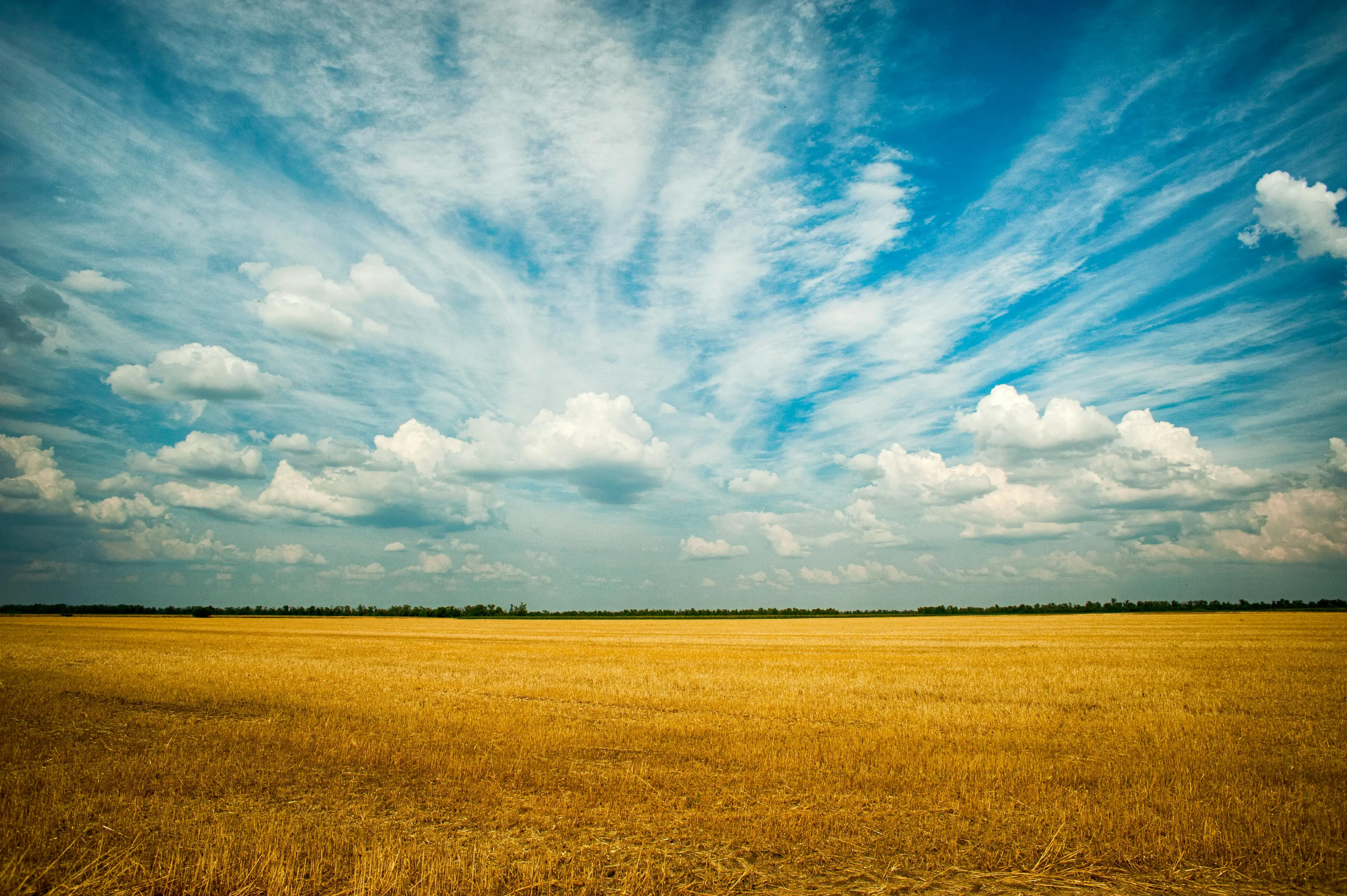 Looking to buy Farmland in Saskatchewan? we can help find you the right land.